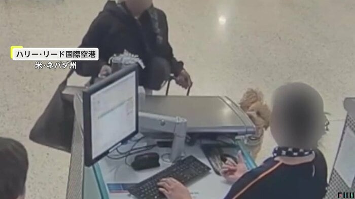 飼い主を見つめる犬（LVMPO）