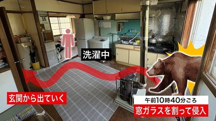 住宅に侵入してきたクマの動き