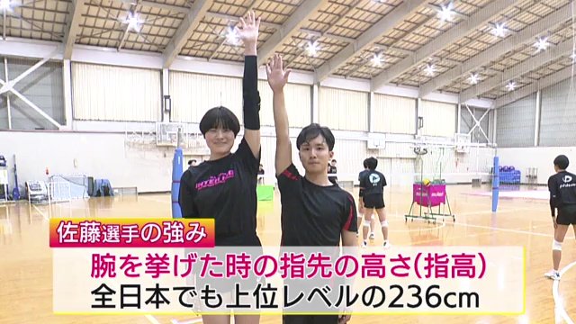 指高は全日本でも上位レベルの236センチ