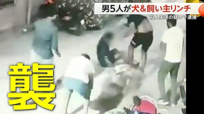 (スペクター・コミュニケーションズ)