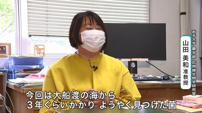 発見した微生物について語る山田美和准教授
