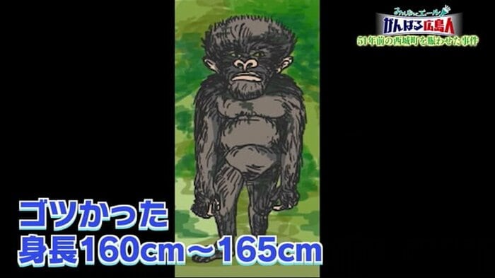 ヒバゴンを目撃した宮本和俊さんの目撃談