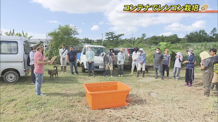 コンテナを使ったレンコン栽培 農家23名が参加(2020年10月)