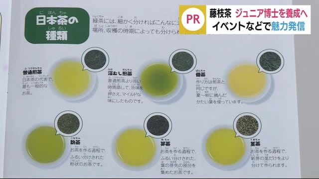 ジュニアお茶博士を養成 湯の温度に時間...うまく調整を 静岡・藤枝市