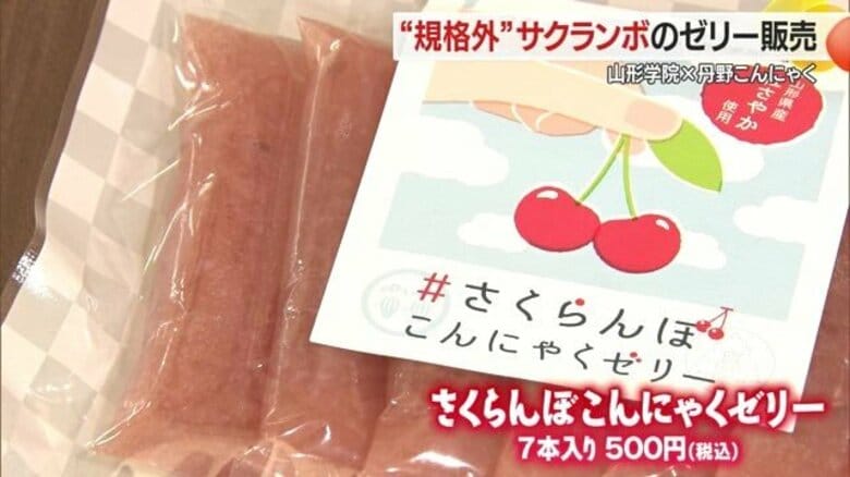規格外サクランボが「こんにゃくゼリー」に変身！　食のプロを目指す調理科の生徒と企業がコラボして商品開発【山形発】｜FNNプライムオンライン