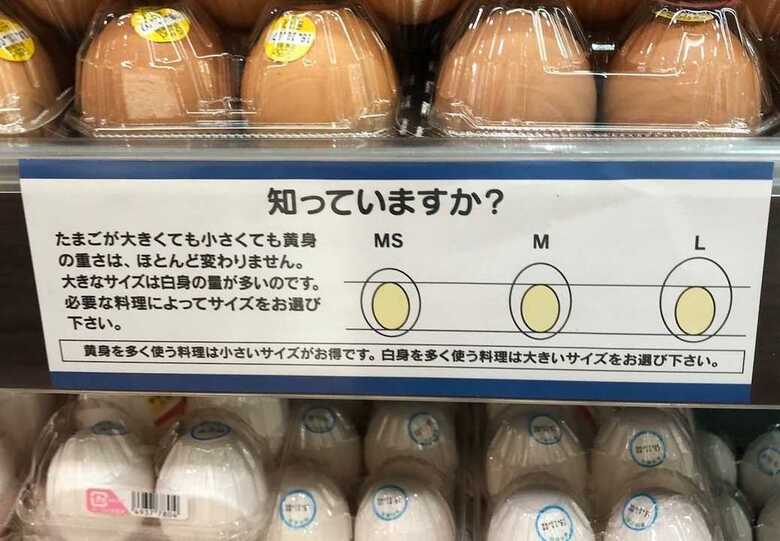 「卵の大きさに関係なく黄身の重さは同じ」って本当？ 話題の投稿を鶏卵卸業者に聞いてみた｜FNNプライムオンライン