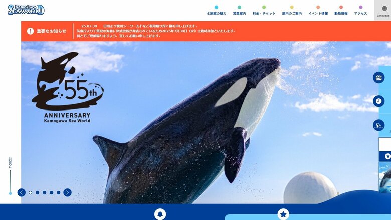 太平洋沿岸の水族館が次々…鴨川シーワールド臨時休業で新江ノ島水族館も営業停止｜FNNプライムオンライン