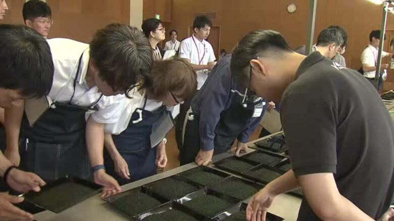 県内産お茶の品評会審査　収量は少ないながら高品質な出来に【長崎県東彼杵町】｜FNNプライムオンライン