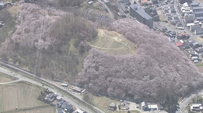 “日本最古級”の古墳か!?「これまでより50年古い」再調査で判明　桜の名所・松本市の「弘法山古墳」　形状や出土品から「3世紀前半～半ば」築造と推定　「ヤマト政権前に造られた独自の古墳か」　長野｜FNNプライムオンライン