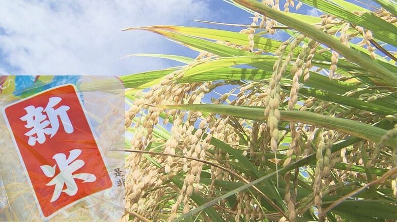 新米が売れない…JA福井県の販売量が去年の半分に　卸業者が在庫抱え“買い控え”　今後のコメ価格にも影響か｜FNNプライムオンライン