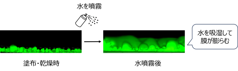 湿度変化に応じて吸放湿するUV防御塗膜技術を開発
