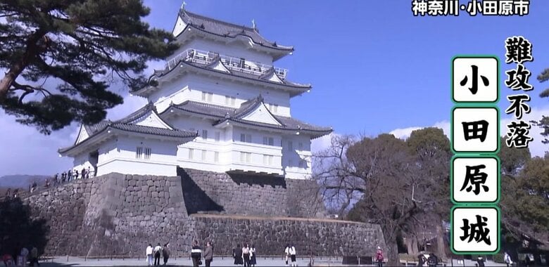 「忍者」が人気の秘密…小田原城・天守閣来訪者は3000万人突破…名前に「小田原」「城」含むと無料キャンペーンも｜FNNプライムオンライン