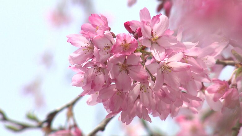 この時期は色鮮やかに