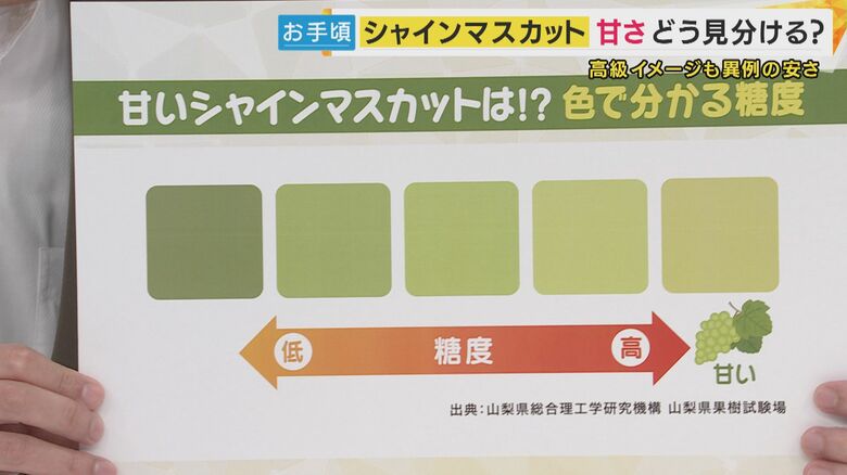 「甘いシャインマスカット」の見分け方