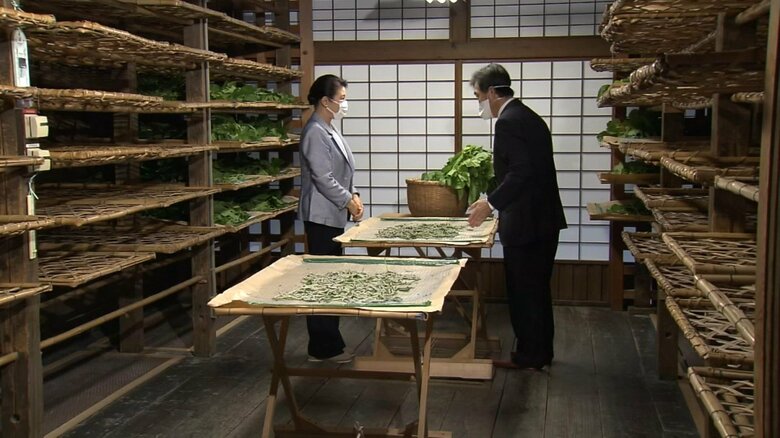 雅子さまは蚕に”桑の葉”を与える作業を行われた（30日 皇居）