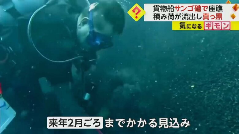 （ダイビングスクール あつまる）