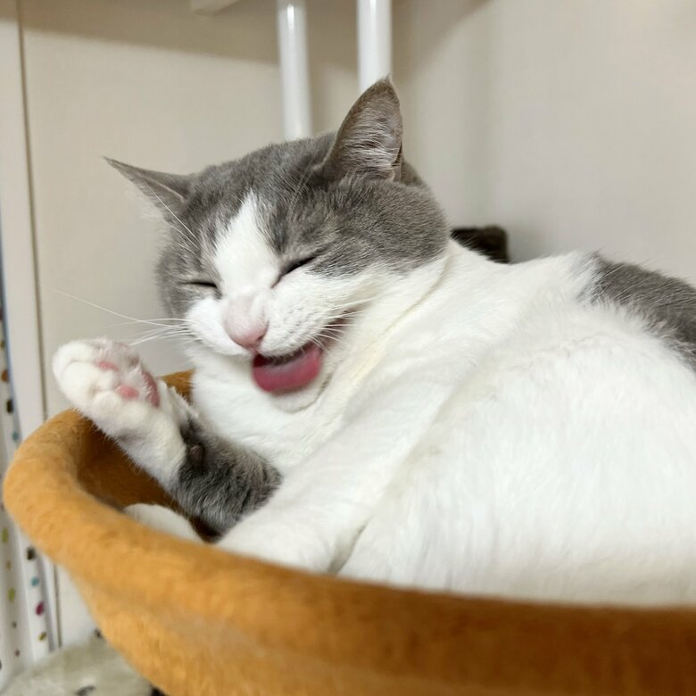 提供：いずもん/まろ様さん