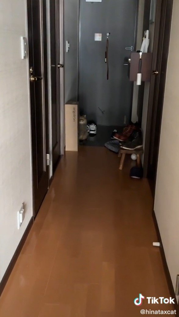 提供：ひなたさん