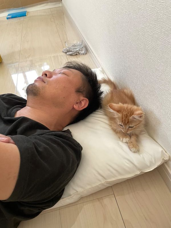 提供：oimo & yuzukiさん