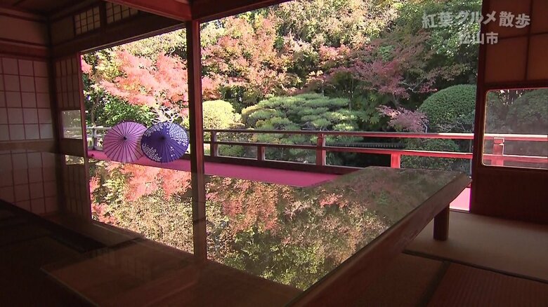 ガラス天板が水面のように紅葉を反射