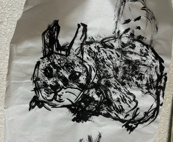 提供：櫻井京太郎さん