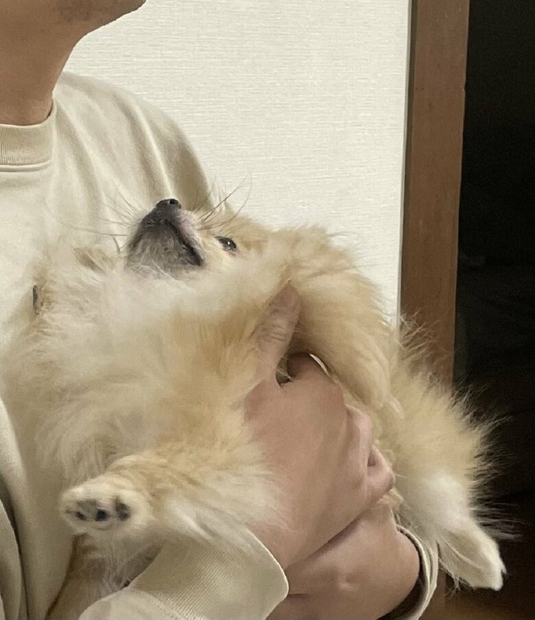 テレビを見て泣いているパパさんを心配している