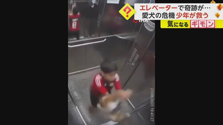 イヌの首についたリードを掴もうとする少年（IHA）