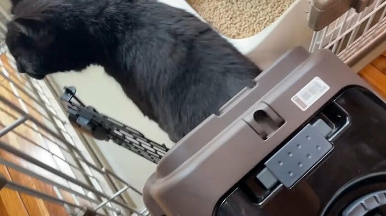 釣りのうらもっちゃんねるさんの家へ到着　最初はケージ内に解放