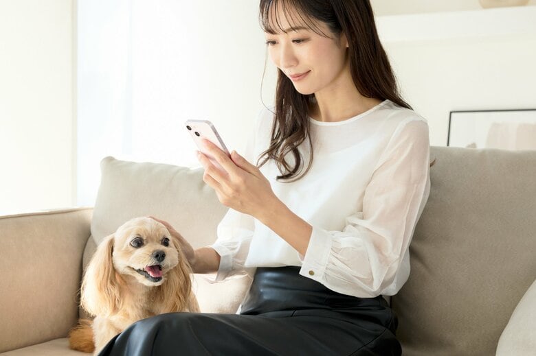 ペットの有無などの情報もチェック（画像はイメージ）