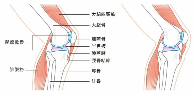 （画像はイメージ）
