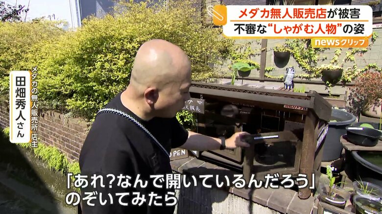 「『あれ？なんで開いているんだろう』とのぞいてみたら、2つの鉢のメダカが空になっていた」と話すメダカの無人販売所店主