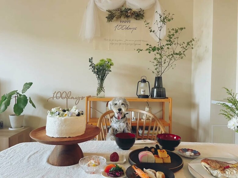 娘さんの100日記念