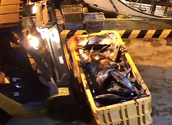 気仙沼海上保安署提供（2024年2月撮影）