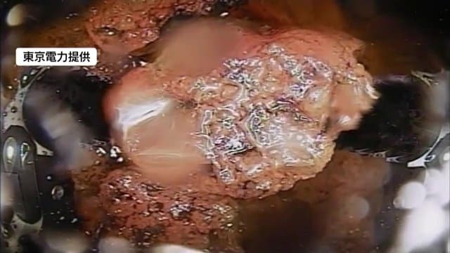 燃料デブリとみられる堆積物