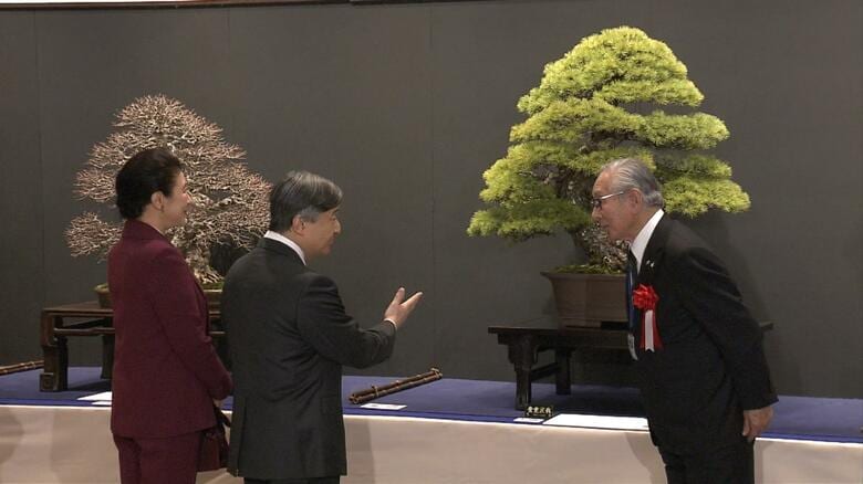 推定樹齢400年近くの五葉松をご覧になった