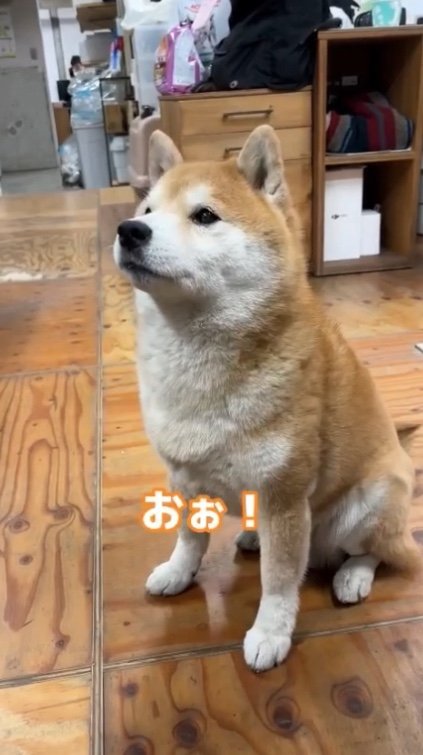 提供：エイトデザイン