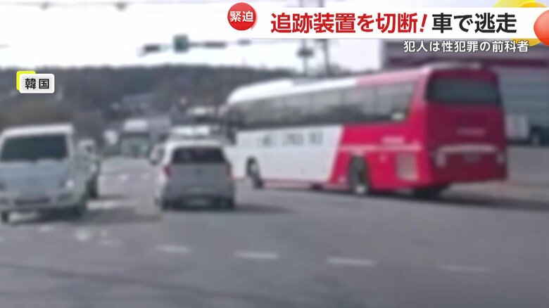 衝突して止まった車から姿を現したドライバー（韓国）