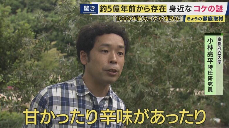 京都府立大学 小林亮平特任研究員
