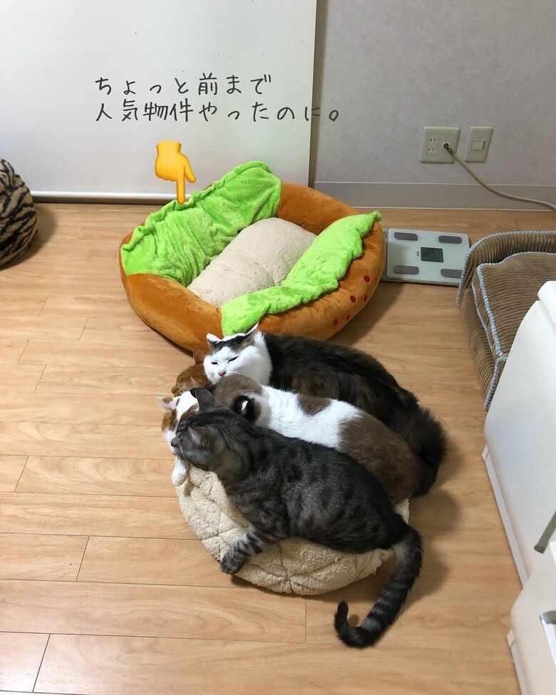 次の人気物件