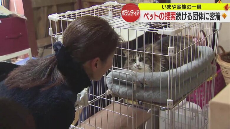 モフちゃんと再会した飼い主