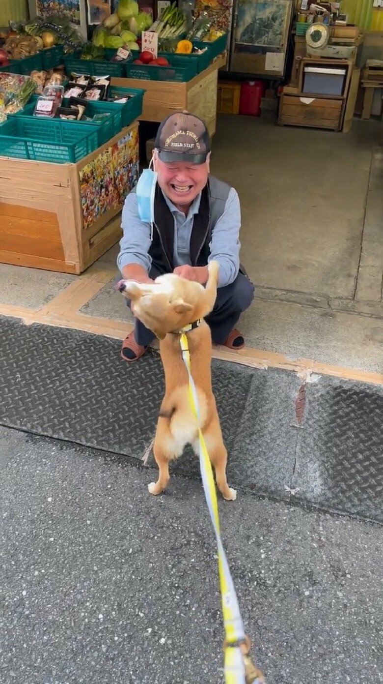 幸せそうなマメちゃん