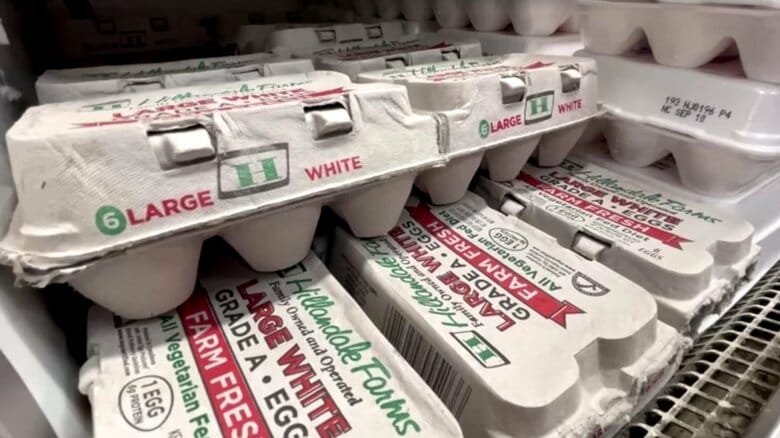 アメリカでは卵の価格高騰と品薄が深刻化している