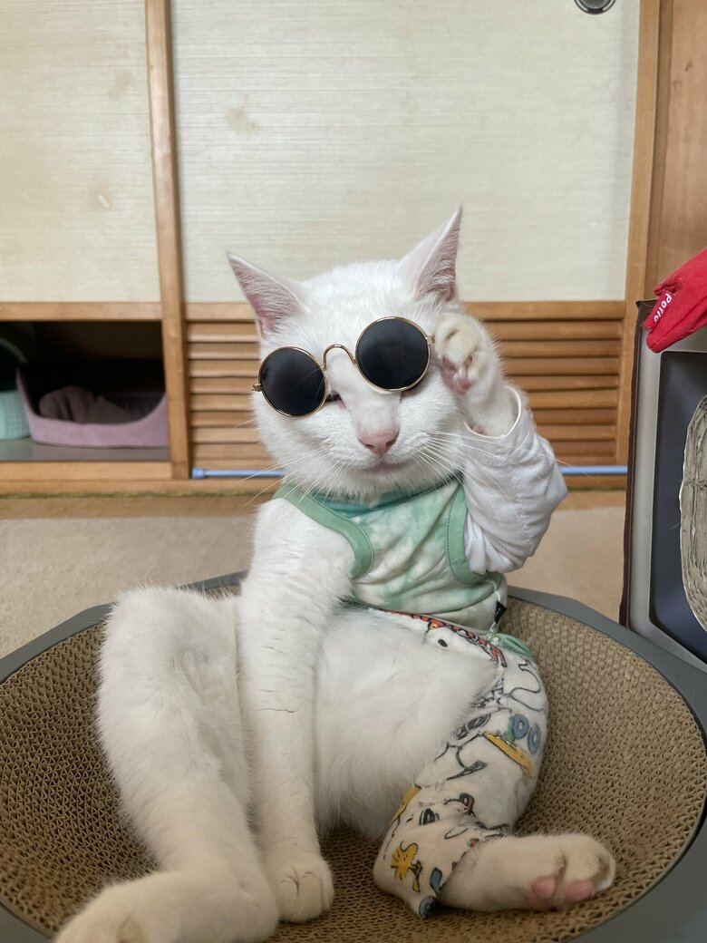 提供：しんばぷーさん