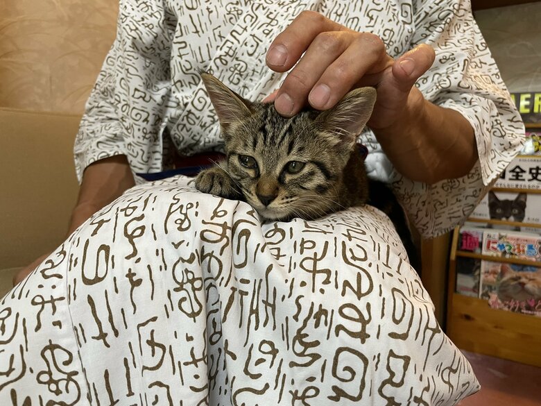 お客さんのお膝を温める