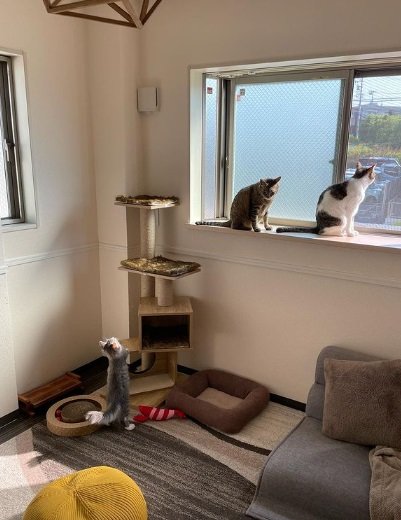 まだ小さかった頃のあくびくんと先輩たち