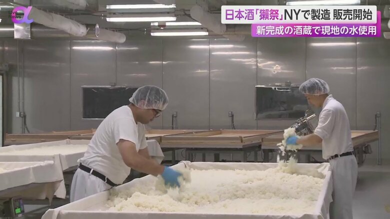 日本のスタッフと現地スタッフが共同で作業