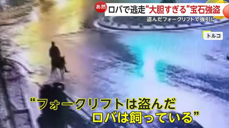 ロバにまたがり街を駆け抜けて逃走する強盗犯（IHA）