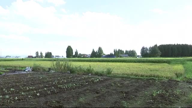クマに襲われ男女2人けが 2頭を捕獲<岩手・花巻市>