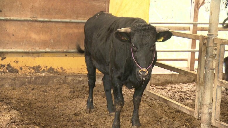 飼育スペースを従来の2倍程度に拡大
