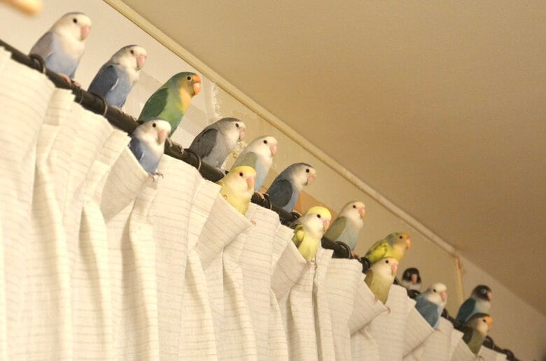 投稿の写真